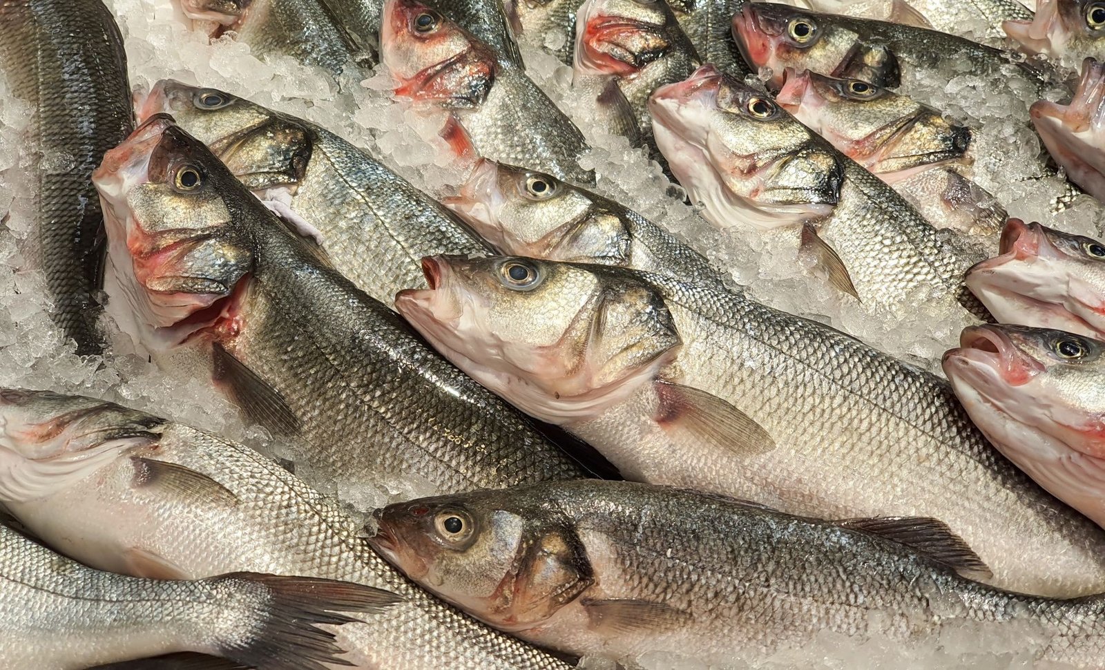 Whole fish on a bed of ice